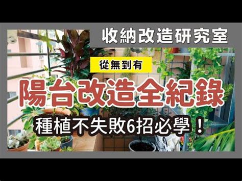 植物陽台|【陽台植栽】15 種陽台植栽推薦｜新手也能輕鬆養出 